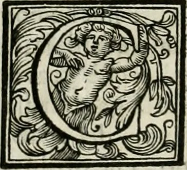 An illustration from Vite de' pittori, scultori, ed architetti moderni, 1730, leaf 221