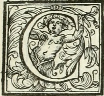 An illustration from Vite de' pittori, scultori, ed architetti moderni, 1730, leaf 264