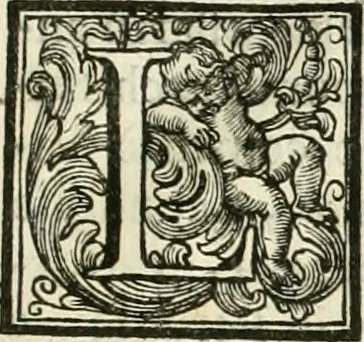 An illustration from Vite de' pittori, scultori, ed architetti moderni, 1730, leaf 306