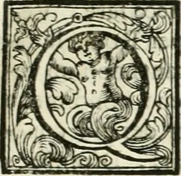 An illustration from Vite de' pittori, scultori, ed architetti moderni, 1730, leaf 42