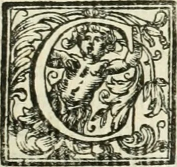 An illustration from Vite de' pittori, scultori, ed architetti moderni, 1730, leaf 182