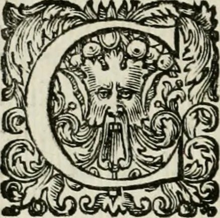 An illustration from Vite de' pittori, scultori, ed architetti moderni, 1730, leaf 27