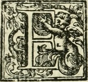 An illustration from Vite de' pittori, scultori, ed architetti moderni, 1730, leaf 358