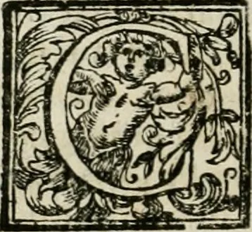 An illustration from Vite de' pittori, scultori, ed architetti moderni, 1730, leaf 405