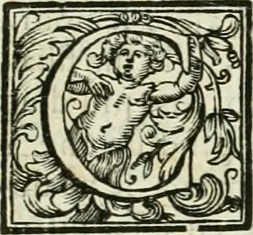 An illustration from Vite de' pittori, scultori, ed architetti moderni, 1730, leaf 418