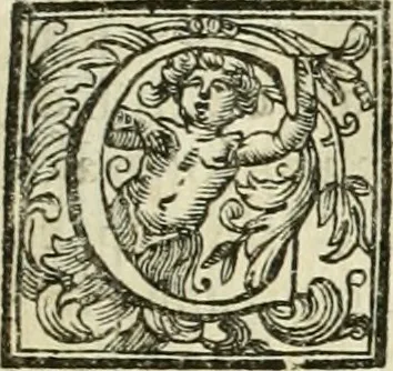 An illustration from Vite de' pittori, scultori, ed architetti moderni, 1730, leaf 76