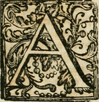 An illustration from Vite de' pittori, scultori, ed architetti napoletani : non mai date alla luce da Autore alcuno, 1742, leaf 20