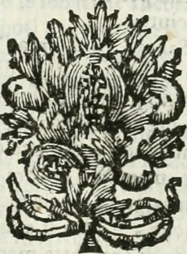 An illustration from Vite de' pittori, scultori, ed architetti napoletani : non mai date alla luce da Autore alcuno, 1742, leaf 342