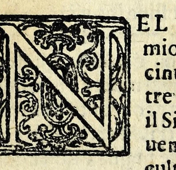 An illustration from Vite de santi e beati toscani : de' quali infino à hoggi comunemente si ha cognizione, 1627, leaf 116