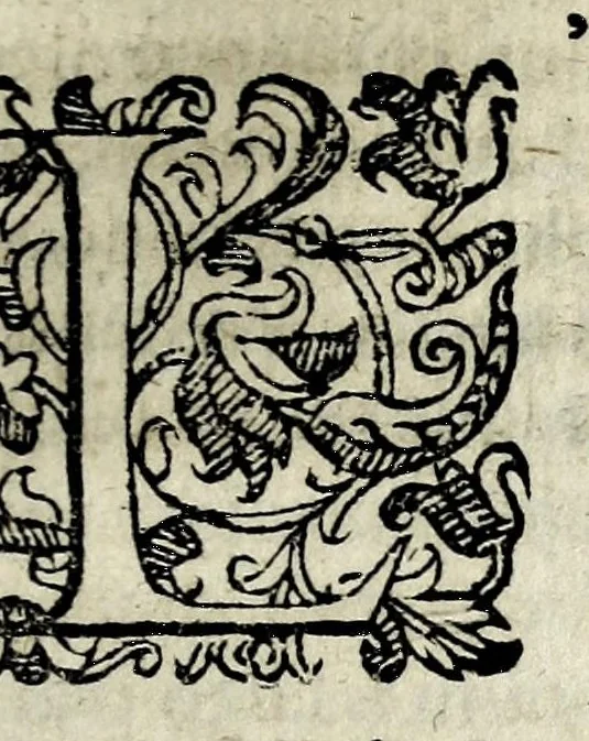 An illustration from Vite de santi e beati toscani : de' quali infino à hoggi comunemente si ha cognizione, 1627, leaf 185