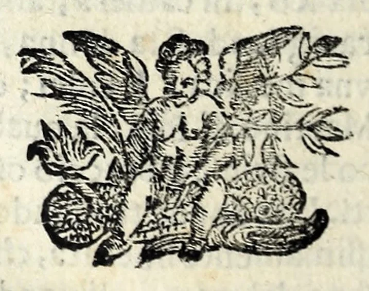 An illustration from Vite de santi e beati toscani : de' quali infino à hoggi comunemente si ha cognizione, 1627, leaf 288