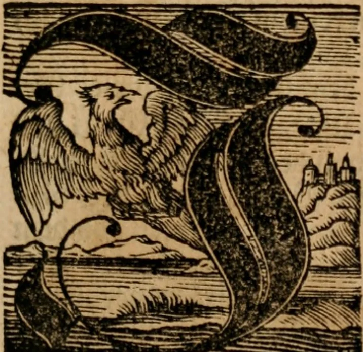 An illustration from Vitæ Patrum : Oder Das Leben Der Altväter und anderer Gottseeligen Personen, 1700, leaf 22