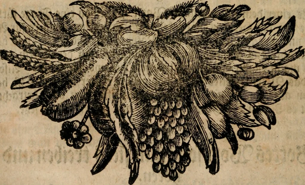 An illustration from Vitæ Patrum : Oder Das Leben Der Altväter und anderer Gottseeligen Personen, 1700, leaf 419