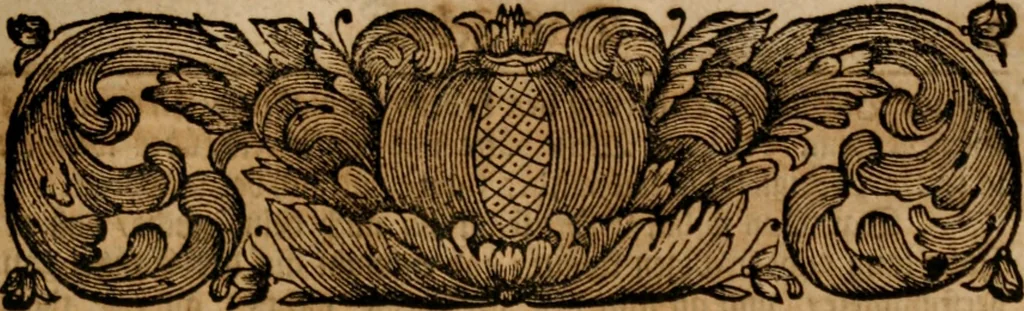 An illustration from Vitæ Patrum : Oder Das Leben Der Altväter und anderer Gottseeligen Personen, 1700, leaf 684