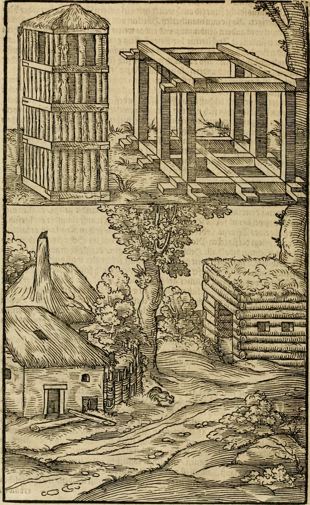An illustration from Vitruuius, des aller namhafftigisten vnnd hocherfahrnesten, römischen Architecti, vnnd kunstreichen Werck oder Bawmeisters, Marci Vitruuij Pollionis, zehen Bücher von der Architectur vnd künstlichem Bawen ..., 1614, leaf 155