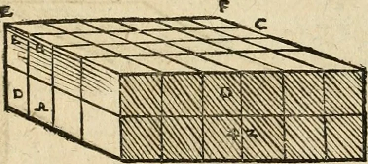 An illustration from Vitruuius, des aller namhafftigisten vnnd hocherfahrnesten, römischen Architecti, vnnd kunstreichen Werck oder Bawmeisters, Marci Vitruuij Pollionis, zehen Bücher von der Architectur vnd künstlichem Bawen ..., 1614, leaf 162