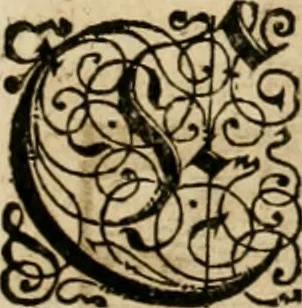 An illustration from Vitruuius, des aller namhafftigisten vnnd hocherfahrnesten, römischen Architecti, vnnd kunstreichen Werck oder Bawmeisters, Marci Vitruuij Pollionis, zehen Bücher von der Architectur vnd künstlichem Bawen ..., 1614, leaf 305
