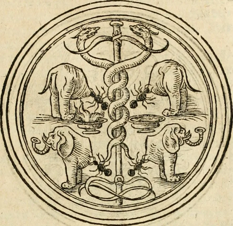 An illustration from Vitruuius, des aller namhafftigisten vnnd hocherfahrnesten, römischen Architecti, vnnd kunstreichen Werck oder Bawmeisters, Marci Vitruuij Pollionis, zehen Bücher von der Architectur vnd künstlichem Bawen ..., 1614, leaf 50
