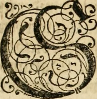 An illustration from Vitruuius, des aller namhafftigisten vnnd hocherfahrnesten, römischen Architecti, vnnd kunstreichen Werck oder Bawmeisters, Marci Vitruuij Pollionis, zehen Bücher von der Architectur vnd künstlichem Bawen ..., 1614, leaf 98