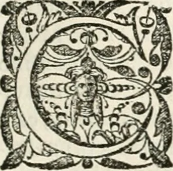 An illustration from M. Vitruvii Pollionis De architectura libri decem, 1649, leaf 104