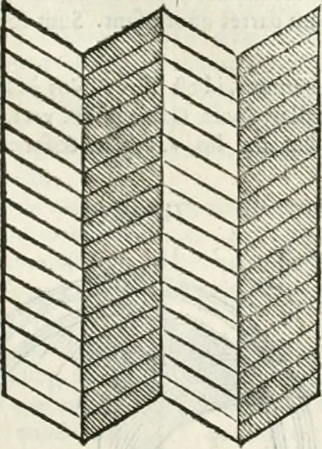 An illustration from M. Vitruvii Pollionis De architectura libri decem, 1649, leaf 174