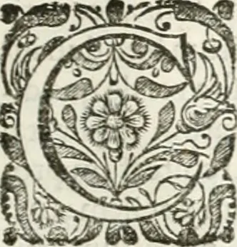 An illustration from M. Vitruvii Pollionis De architectura libri decem, 1649, leaf 46