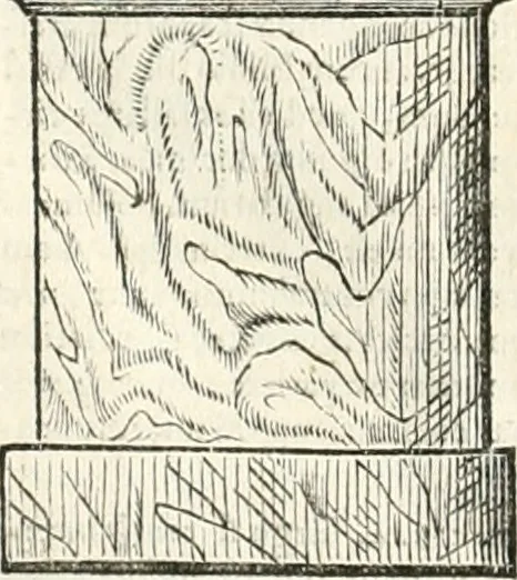 An illustration from M. Vitruvii Pollionis De architectura libri decem, 1649, leaf 89