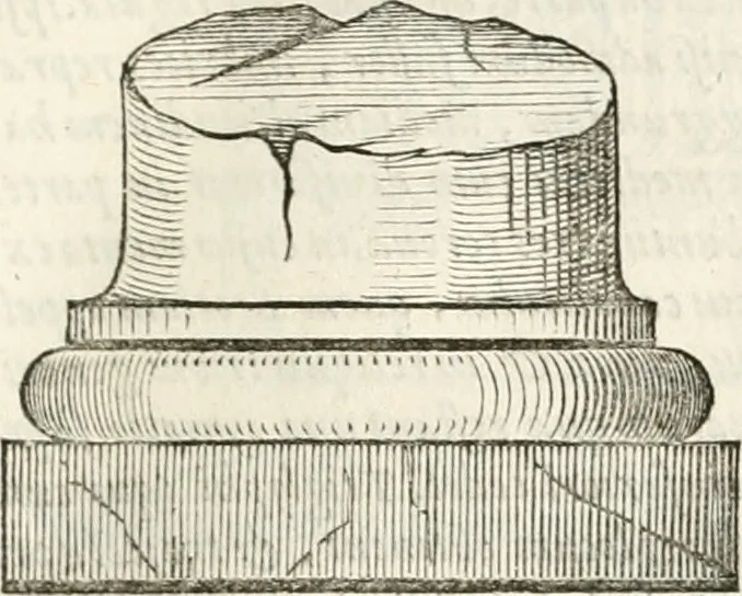 An illustration from M. Vitruvii Pollionis De architectura libri decem, 1649, leaf 90