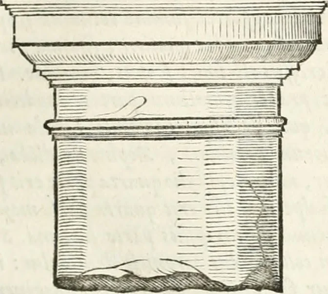 An illustration from M. Vitruvii Pollionis De architectura libri decem, 1649, leaf 92