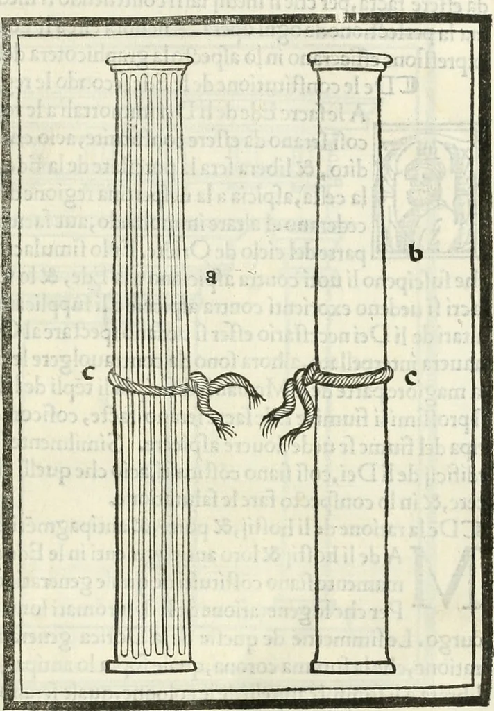 An illustration from M.L. Vitrvuio Pollione De architectura, 1524, leaf 124