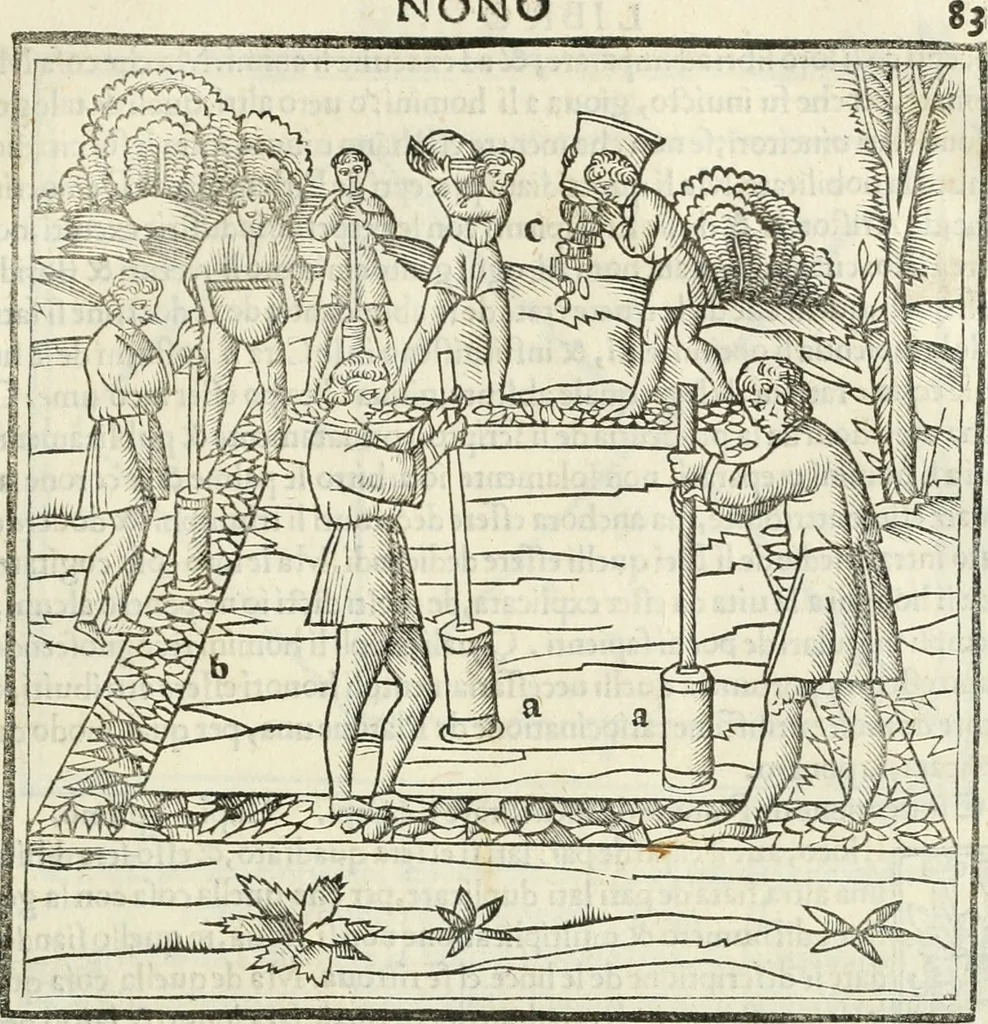 An illustration from M.L. Vitrvuio Pollione De architectura, 1524, leaf 212