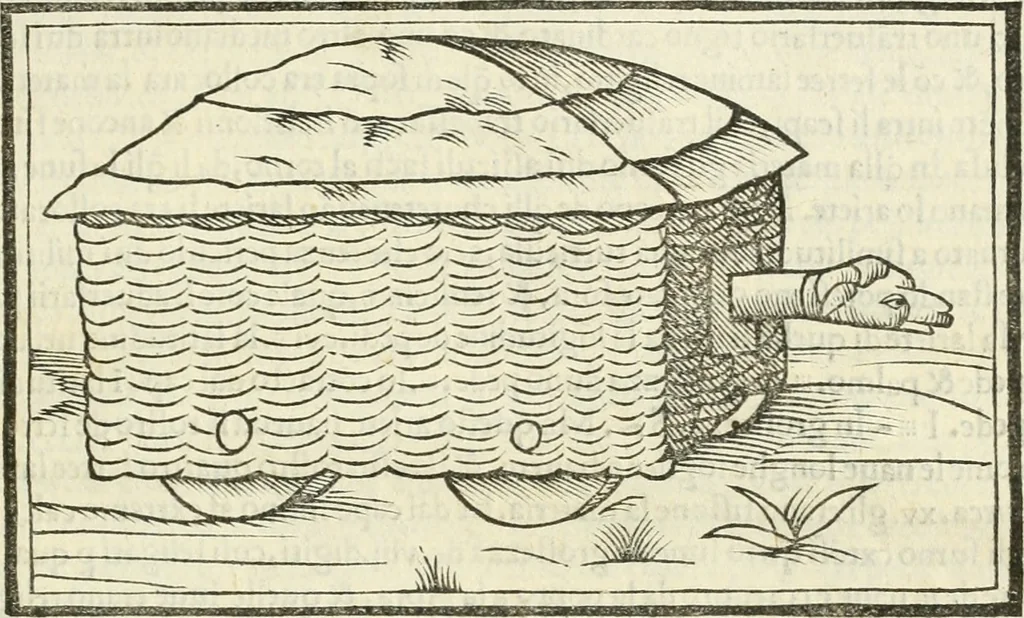 An illustration from M.L. Vitrvuio Pollione De architectura, 1524, leaf 262