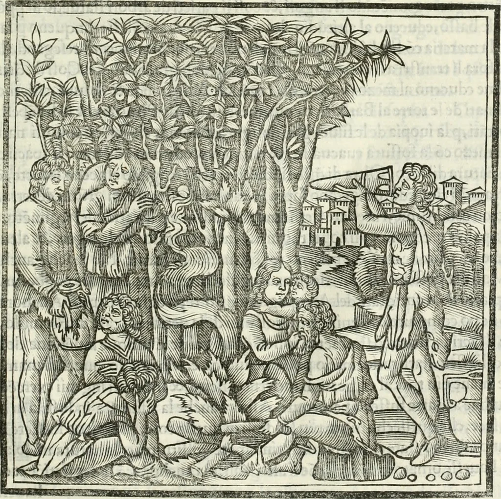 An illustration from M.L. Vitrvuio Pollione De architectura, 1524, leaf 72