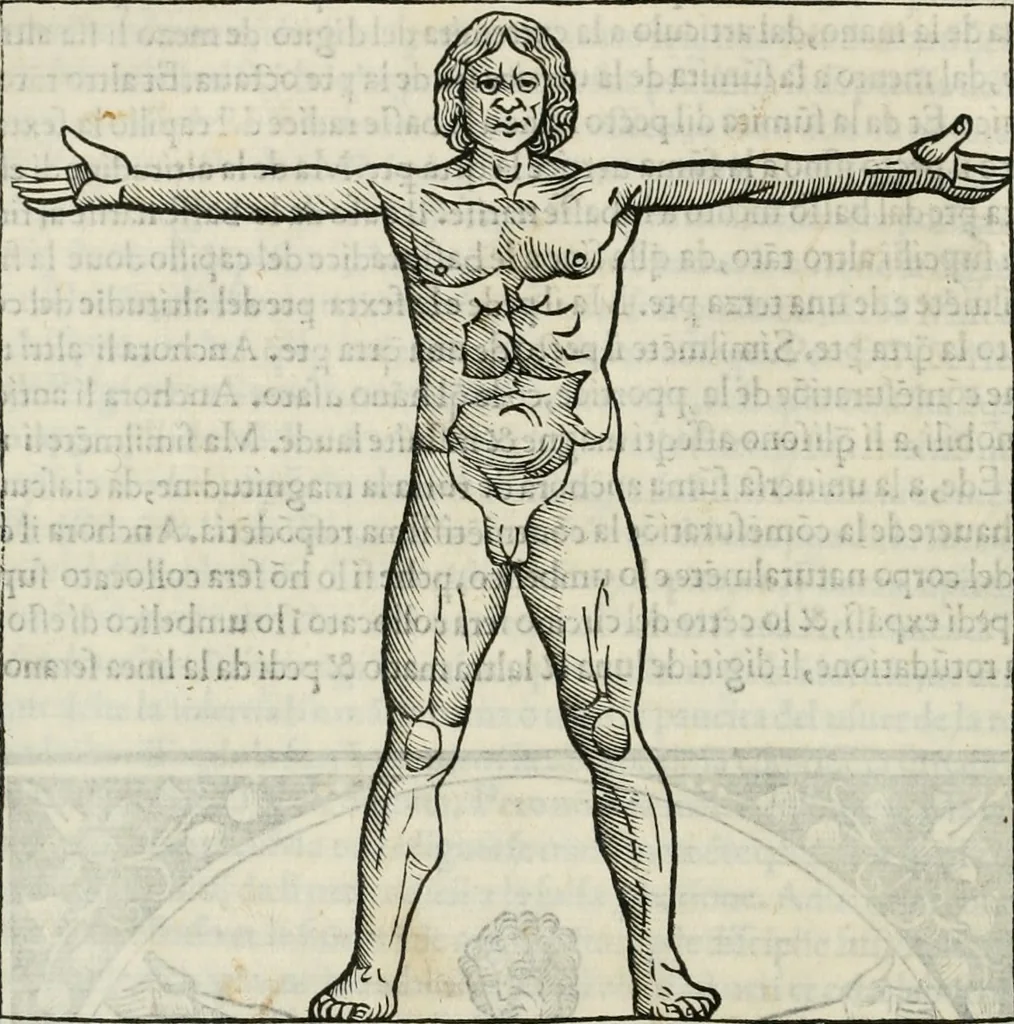 An illustration from M.L. Vitrvuio Pollione De architectura, 1524, leaf 91