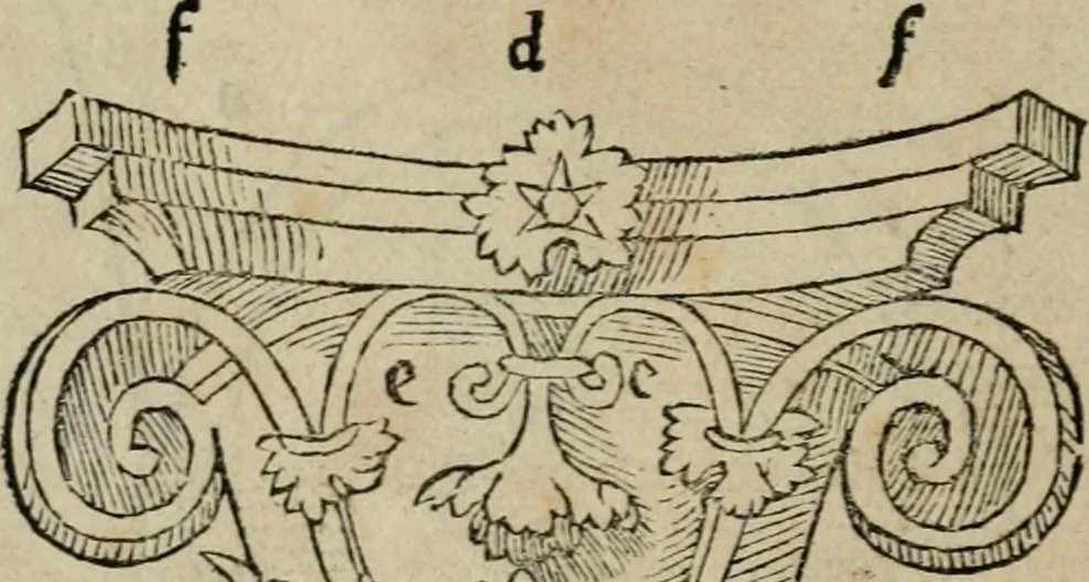 An illustration from M. Vitrvvii De architectura libri decem : summa diligentia recogniti atq; excusi : cum nonnullis figuris sub hoc signo * positis, nunq antea impraessis : additis Iulij Frontini De aqueductibus libris, proter materiae affinitatem, 1523, leaf 131