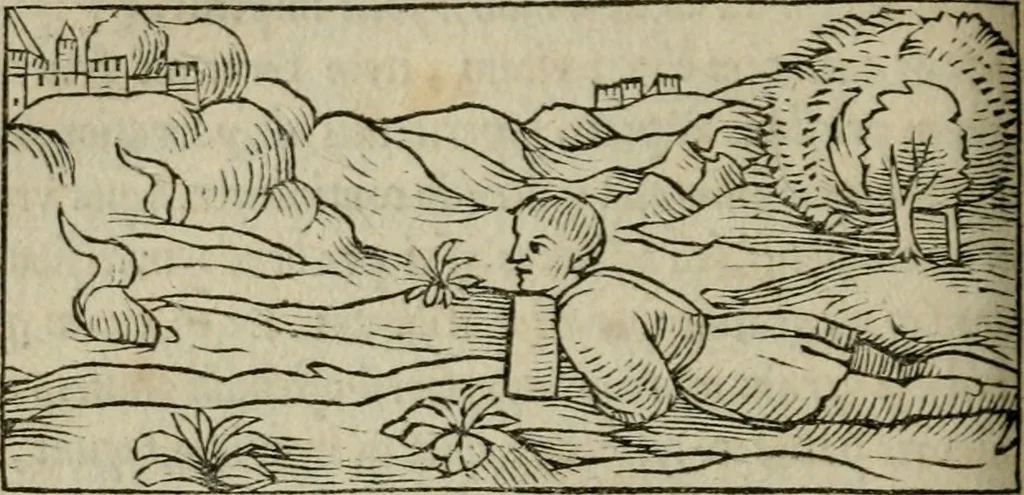 An illustration from M. Vitrvvii De architectura libri decem : summa diligentia recogniti atq; excusi : cum nonnullis figuris sub hoc signo * positis, nunq antea impraessis : additis Iulij Frontini De aqueductibus libris, proter materiae affinitatem, 1523, leaf 257