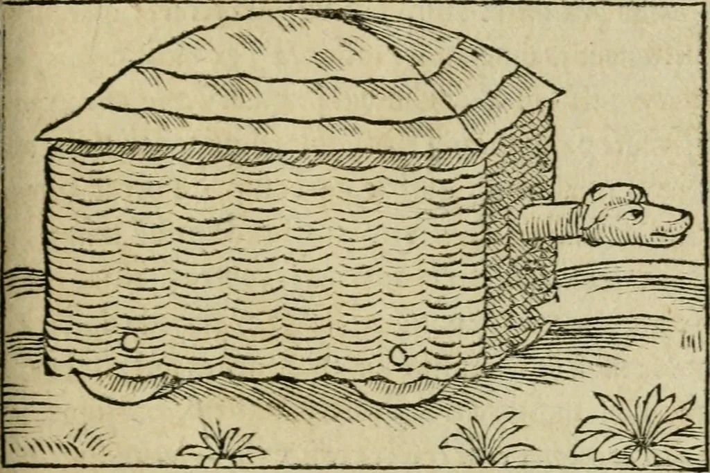 An illustration from M. Vitrvvii De architectura libri decem : summa diligentia recogniti atq; excusi : cum nonnullis figuris sub hoc signo * positis, nunq antea impraessis : additis Iulij Frontini De aqueductibus libris, proter materiae affinitatem, 1523, leaf 354