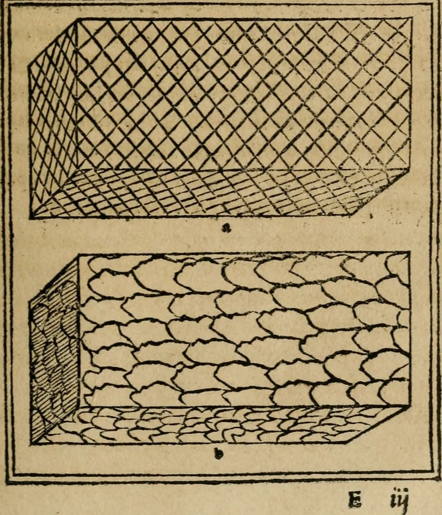 An illustration from M. Vitrvvii De architectura libri decem : summa diligentia recogniti atq; excusi : cum nonnullis figuris sub hoc signo * positis, nunq antea impraessis : additis Iulij Frontini De aqueductibus libris, proter materiae affinitatem, 1523, leaf 72