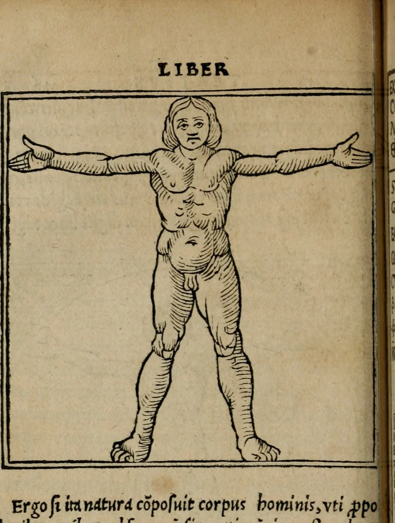 An illustration from M. Vitrvvii De architectura libri decem : summa diligentia recogniti atq; excusi : cum nonnullis figuris sub hoc signo * positis, nunq antea impraessis : additis Iulij Frontini De aqueductibus libris, proter materiae affinitatem, 1523, leaf 95