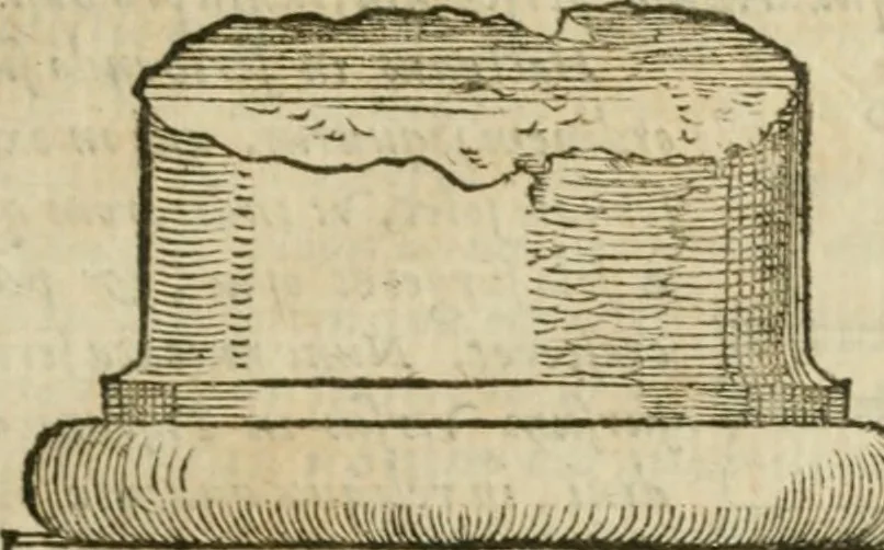 An illustration from M. Vitrvvii Pollionis De architectvra libri decem, ad Caes. Avgvstvm, omnibus omnium editionibus longè emendatiores, collatis veteribus exemplis, 1586, leaf 116