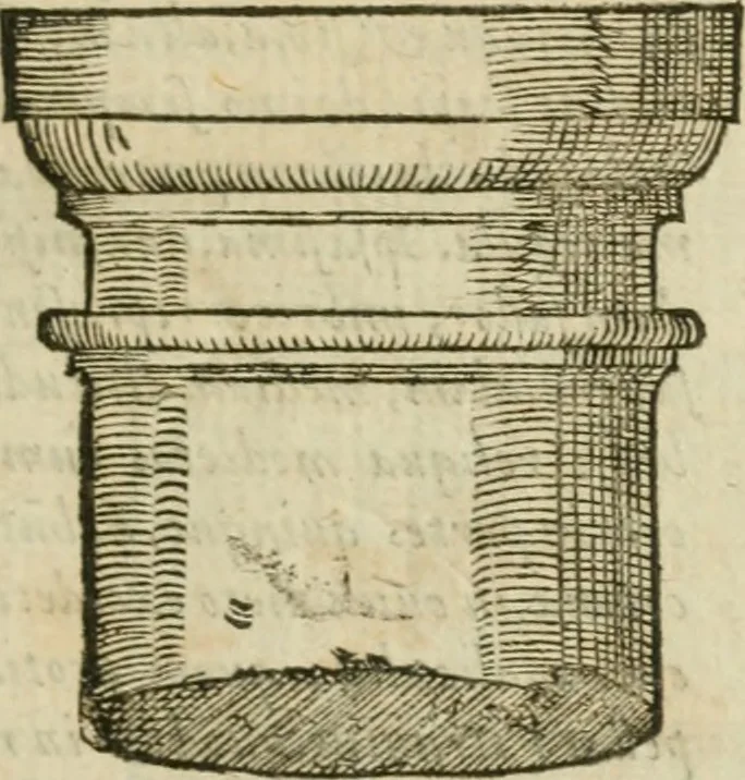 An illustration from M. Vitrvvii Pollionis De architectvra libri decem, ad Caes. Avgvstvm, omnibus omnium editionibus longè emendatiores, collatis veteribus exemplis, 1586, leaf 116