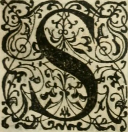 An illustration from M. Vitrvvii Pollionis De architectvra libri decem, ad Caes. Avgvstvm, omnibus omnium editionibus longè emendatiores, collatis veteribus exemplis, 1586, leaf 128