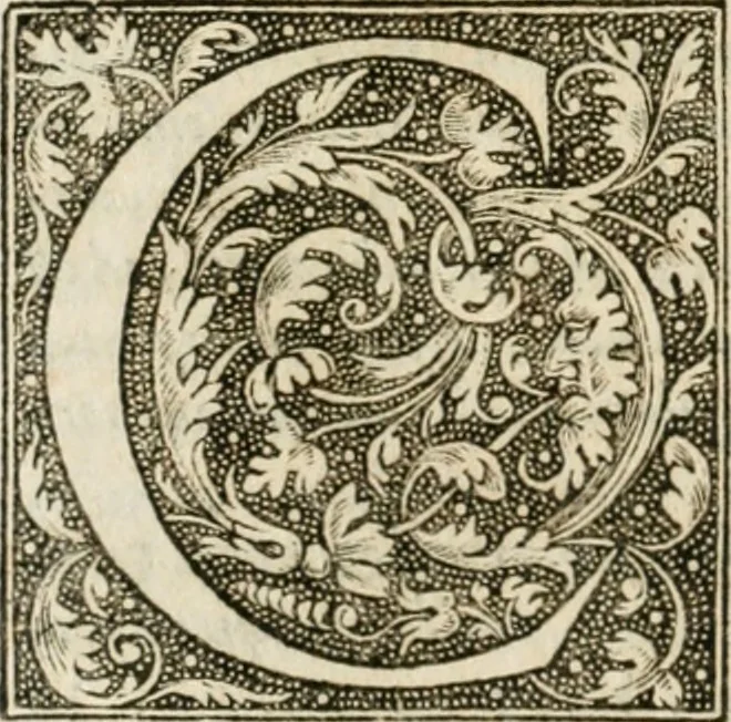 An illustration from M. Vitrvvii Pollionis De architectvra libri decem, ad Caes. Avgvstvm, omnibus omnium editionibus longè emendatiores, collatis veteribus exemplis, 1586, leaf 143