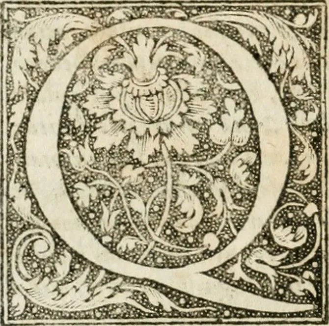 An illustration from M. Vitrvvii Pollionis De architectvra libri decem, ad Caes. Avgvstvm, omnibus omnium editionibus longè emendatiores, collatis veteribus exemplis, 1586, leaf 185