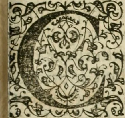 An illustration from M. Vitrvvii Pollionis De architectvra libri decem, ad Caes. Avgvstvm, omnibus omnium editionibus longè emendatiores, collatis veteribus exemplis, 1586, leaf 192
