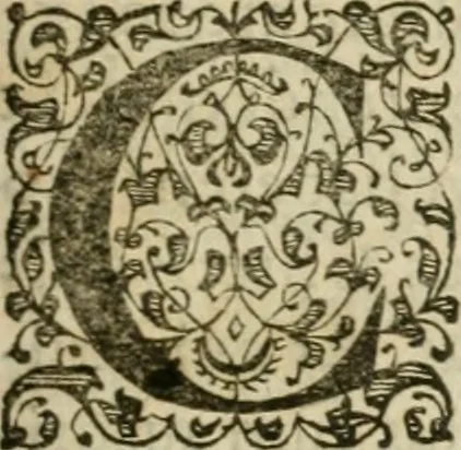 An illustration from M. Vitrvvii Pollionis De architectvra libri decem, ad Caes. Avgvstvm, omnibus omnium editionibus longè emendatiores, collatis veteribus exemplis, 1586, leaf 20