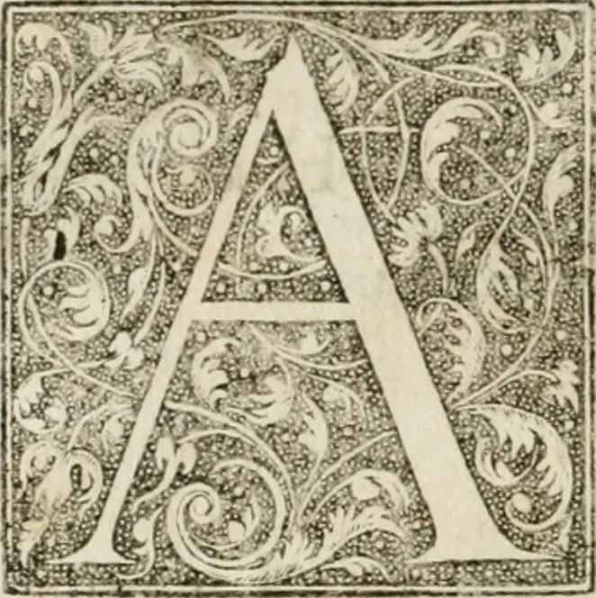 An illustration from M. Vitrvvii Pollionis De architectvra libri decem, ad Caes. Avgvstvm, omnibus omnium editionibus longè emendatiores, collatis veteribus exemplis, 1586, leaf 21
