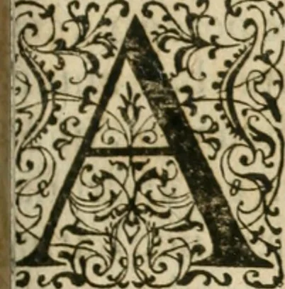 An illustration from M. Vitrvvii Pollionis De architectvra libri decem, ad Caes. Avgvstvm, omnibus omnium editionibus longè emendatiores, collatis veteribus exemplis, 1586, leaf 264