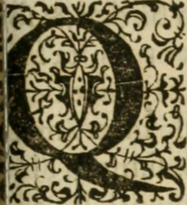 An illustration from M. Vitrvvii Pollionis De architectvra libri decem, ad Caes. Avgvstvm, omnibus omnium editionibus longè emendatiores, collatis veteribus exemplis, 1586, leaf 294