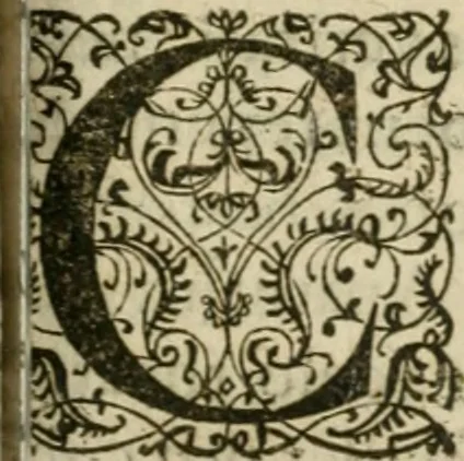 An illustration from M. Vitrvvii Pollionis De architectvra libri decem, ad Caes. Avgvstvm, omnibus omnium editionibus longè emendatiores, collatis veteribus exemplis, 1586, leaf 296